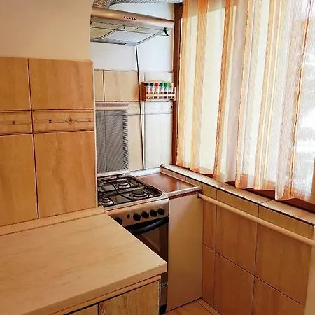 Apartament Kogaion Apartment Busteni