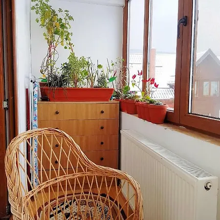 Apartment Apartament Kogaion Busteni